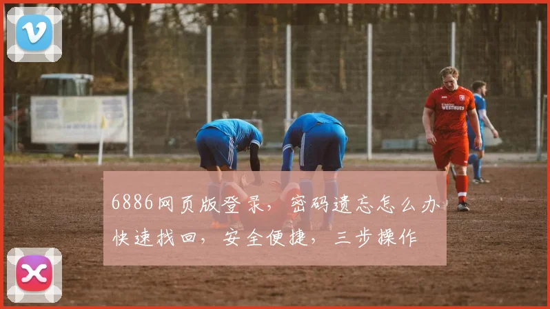 6886网页版登录，密码遗忘怎么办快速找回，安全便捷，三步操作