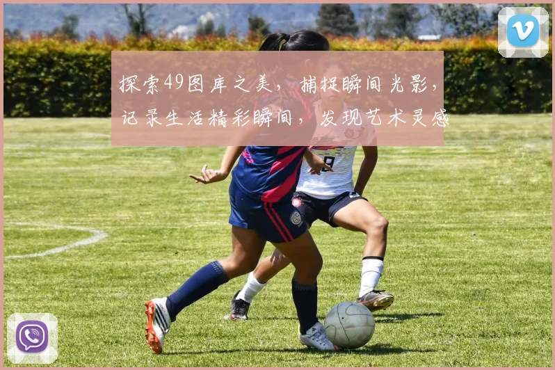 探索49图库之美，捕捉瞬间光影，记录生活精彩瞬间，发现艺术灵感交汇点。
