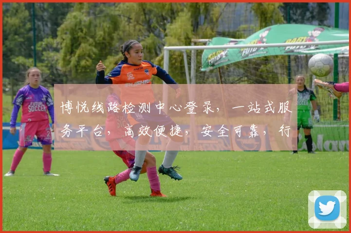 博悦线路检测中心登录，一站式服务平台，高效便捷，安全可靠，行业首选，三大特色服务，敬请体验。
