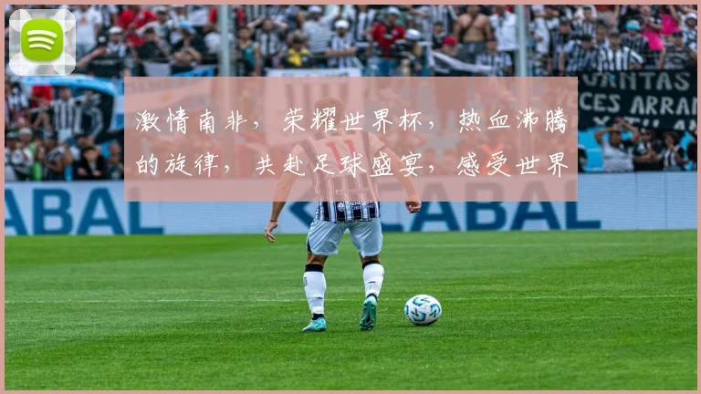 激情南非，荣耀世界杯，热血沸腾的旋律，共赴足球盛宴，感受世界狂欢