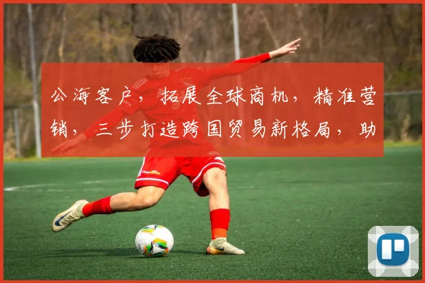 公海客户，拓展全球商机，精准营销，三步打造跨国贸易新格局，助力企业腾飞