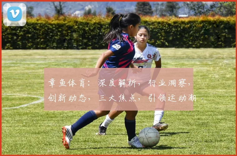 章鱼体育：深度解析，行业洞察，创新动态，三大焦点，引领运动潮流