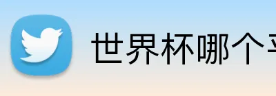 世界杯哪个平台好